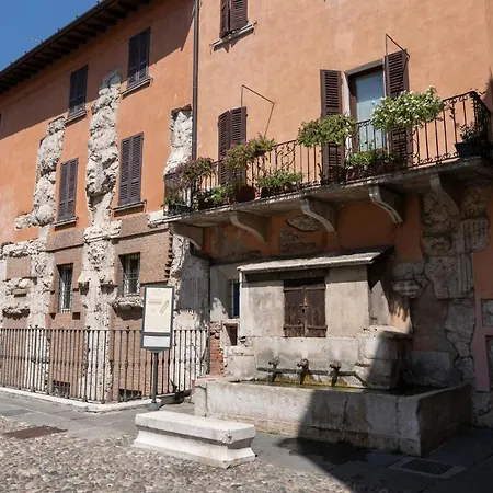 Homo Homini Lupus 公寓 *